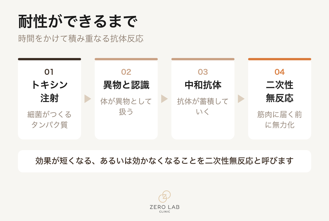 耐性が生じる過程