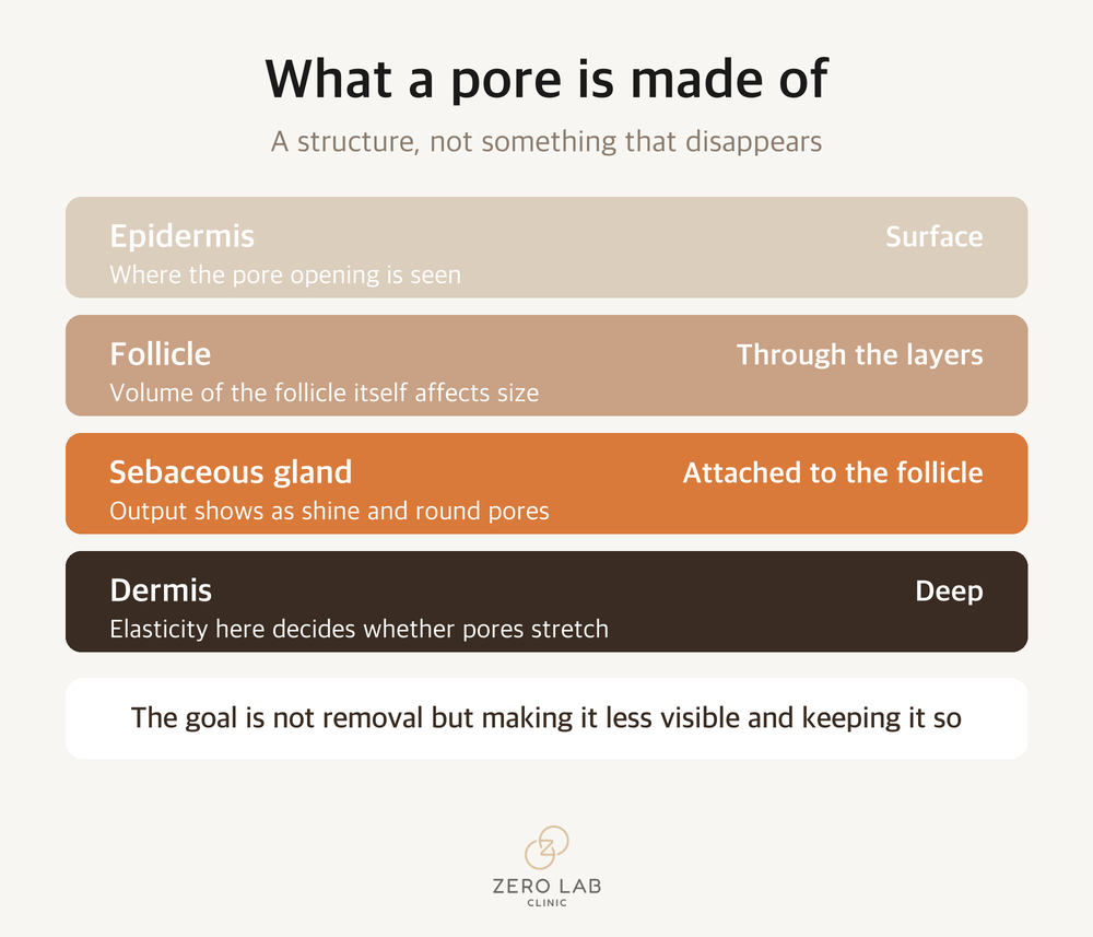 Cross-section diagram of the layered structure of a pore