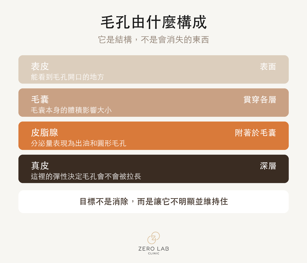 毛孔結構分層剖面圖