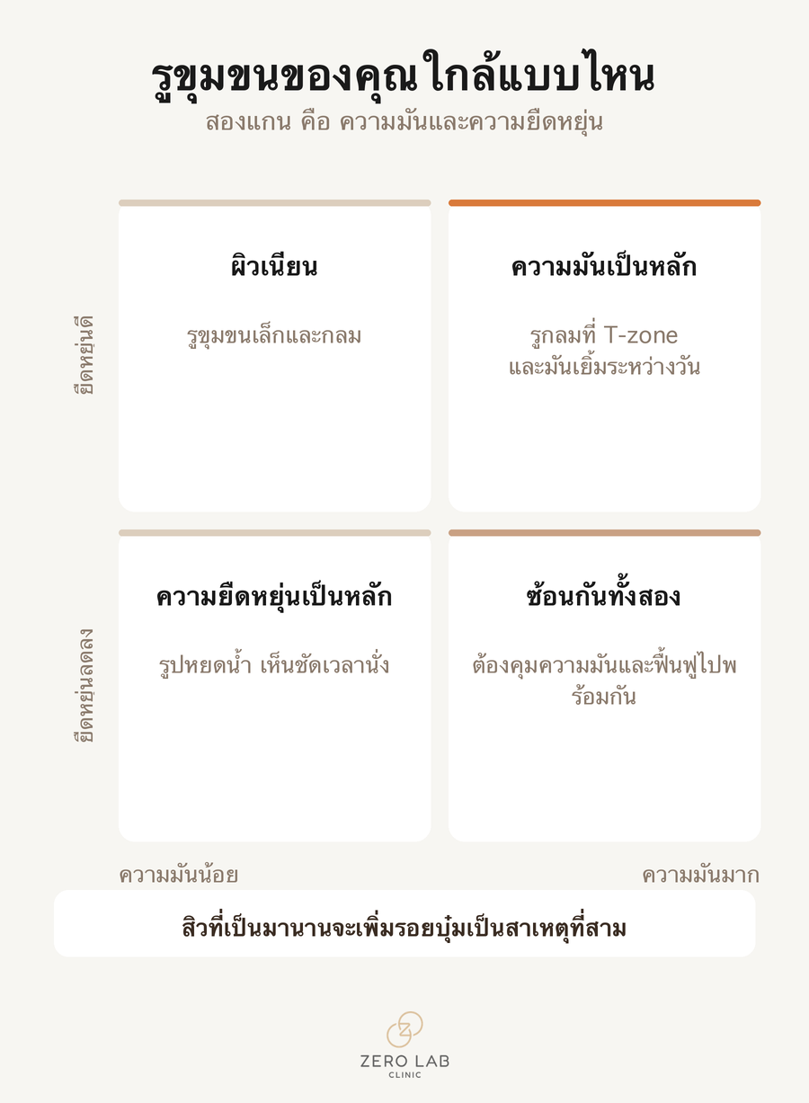 เมทริกซ์ 2×2 ของปริมาณซีบัมและความยืดหยุ่น