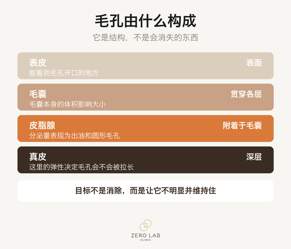 毛孔结构分层剖面图