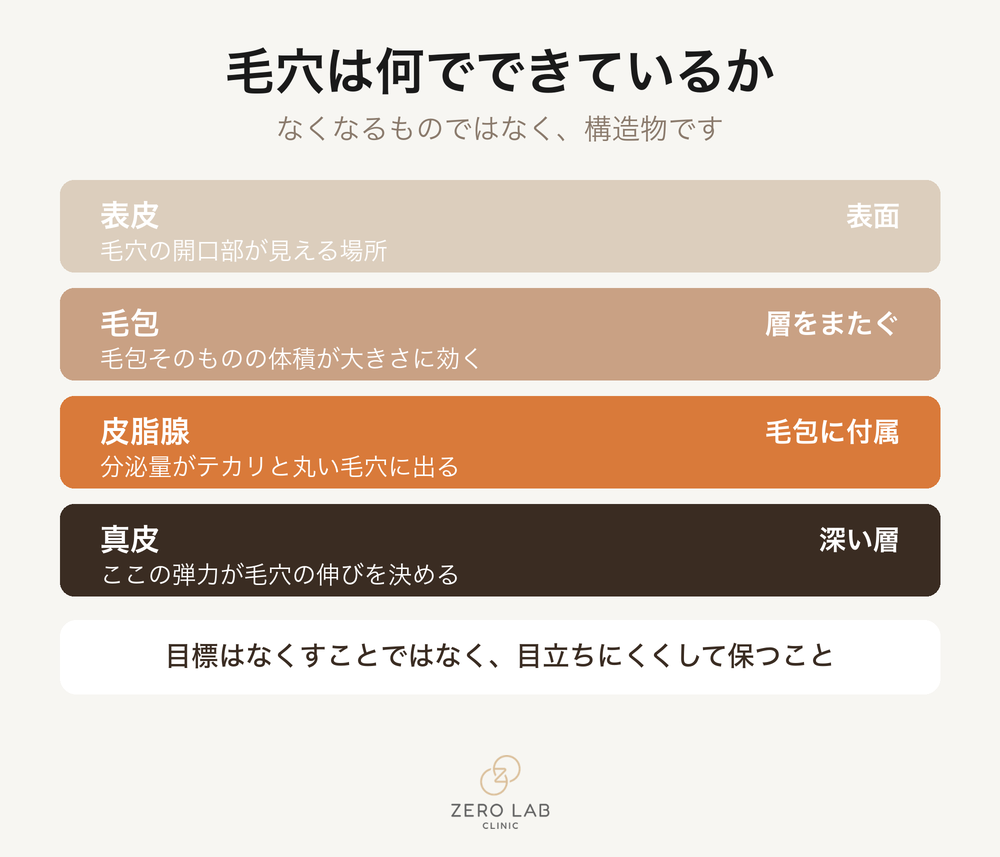 毛穴の構造のレイヤー断面図