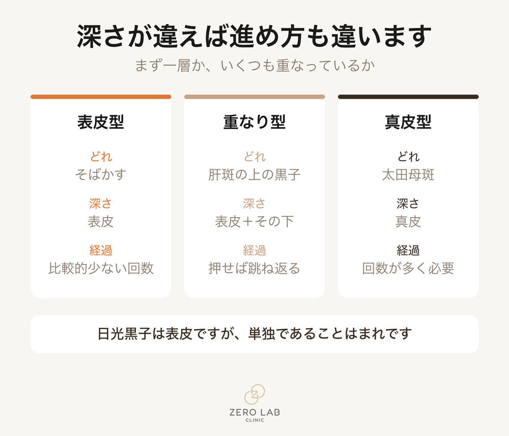 色素のタイプ別の比較カード