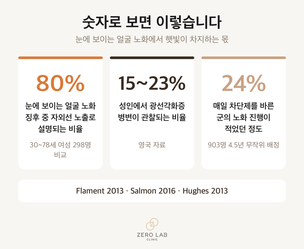 광노화 핵심 수치
