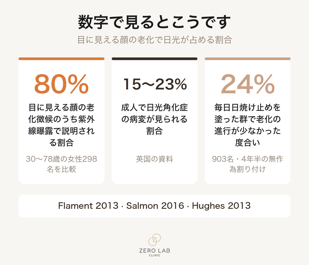 光老化の主な数値