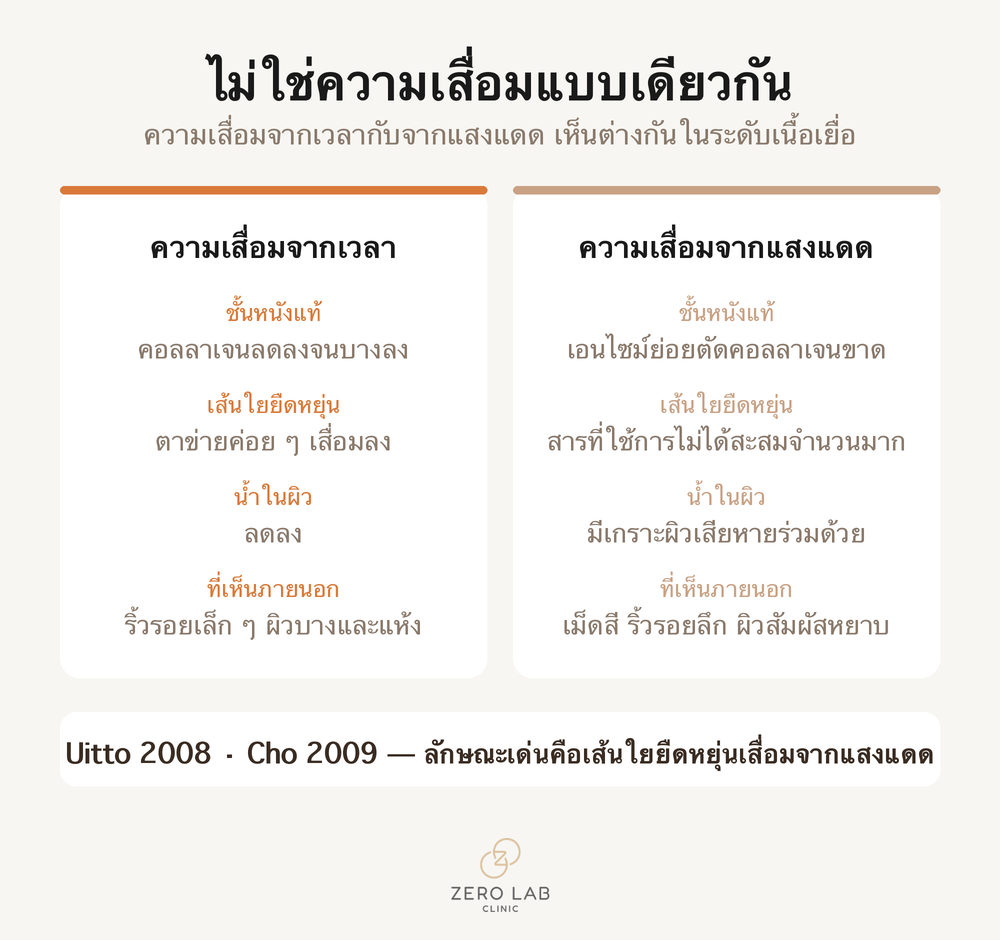 เปรียบเทียบความเสื่อมที่เกิดจากเวลากับความเสื่อมที่เกิดจากแสงแดด