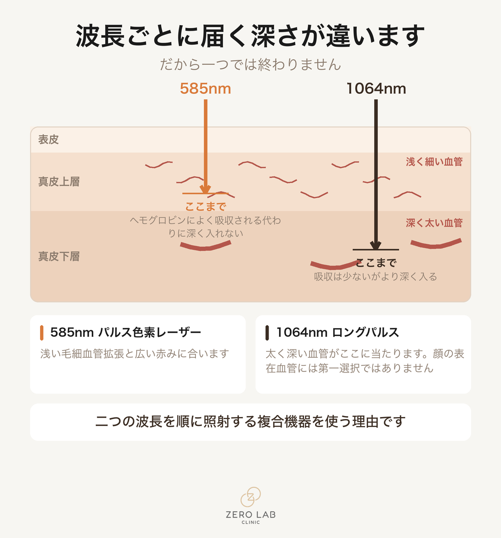 波長ごとに届く深さの断面
