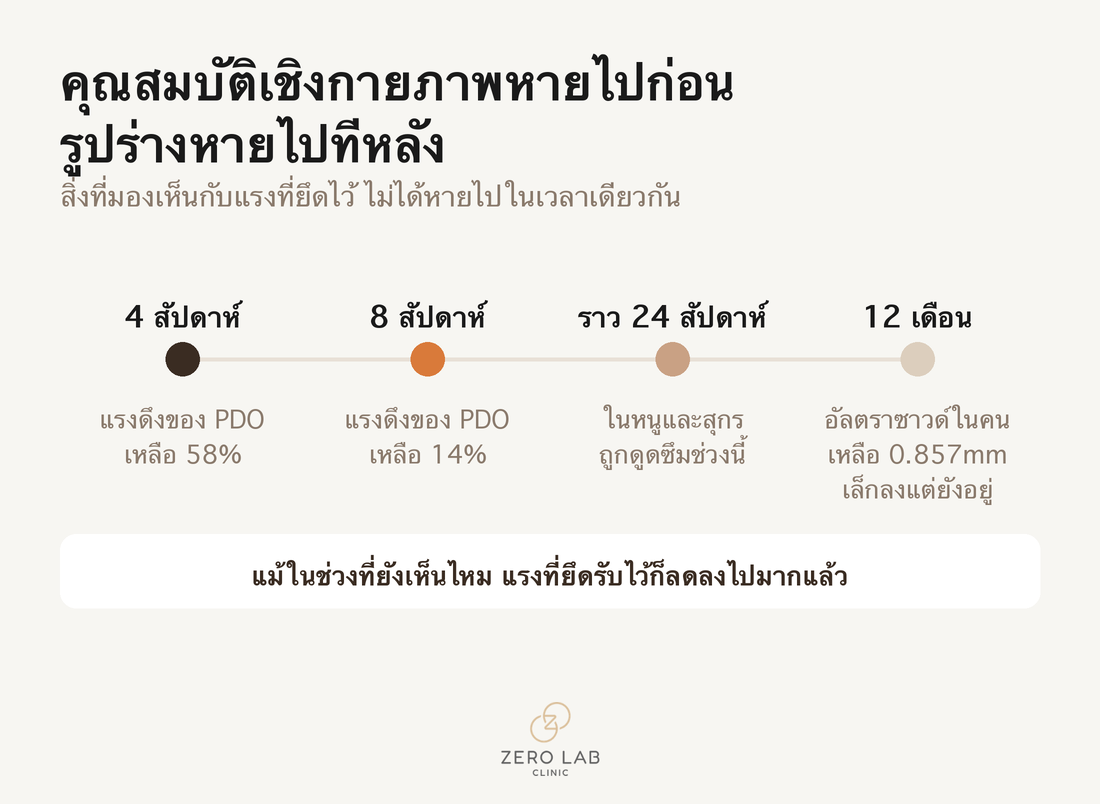 การเปรียบเทียบที่แสดงว่าแรงดึงของไหม PDO ลดลงในช่วง 4 สัปดาห์และ 8 สัปดาห์ ขณะที่รูปร่างยังคงอยู่นานกว่า