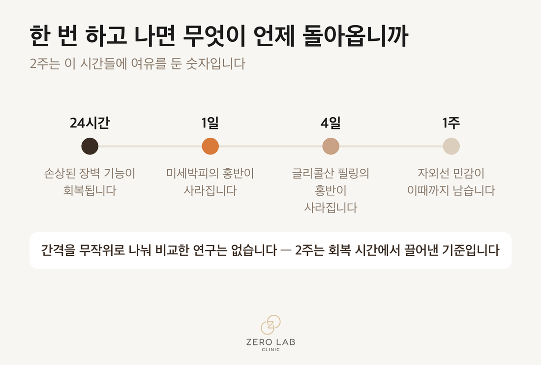 장벽 회복 24시간과 홍반 소실 1~4일 그리고 자외선 민감 1주를 놓은 타임라인