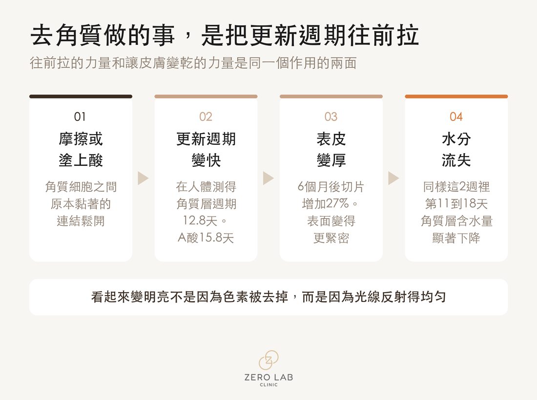 顯示去角質對角質層與表皮分別朝不同方向作用的流程圖