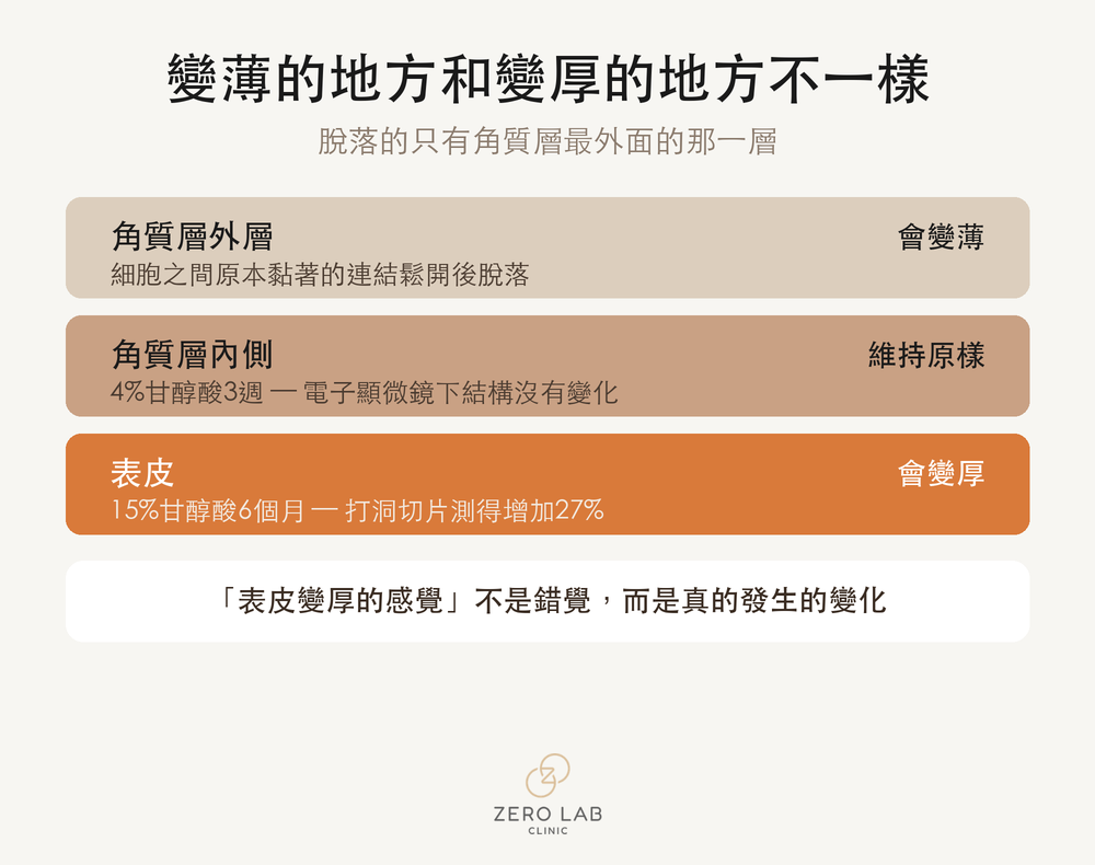 將角質層外層被剝落、下方表皮變厚這兩個方向的變化並列呈現的比較圖