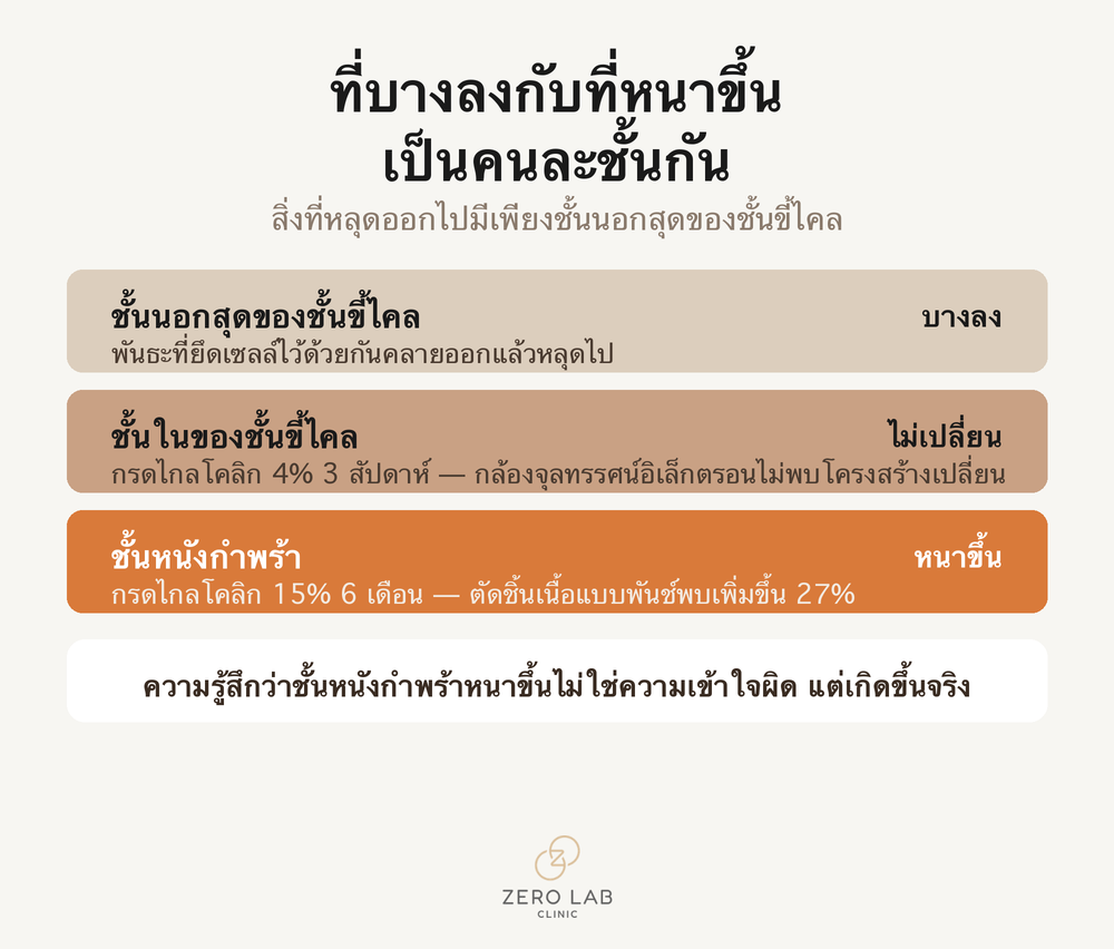 ภาพเปรียบเทียบที่วางการเปลี่ยนแปลงสองทิศทางไว้เคียงกัน คือชั้นนอกของชั้นขี้ไคลหลุดลอกออก ขณะที่ชั้นหนังกำพร้าด้านล่างหนาขึ้น