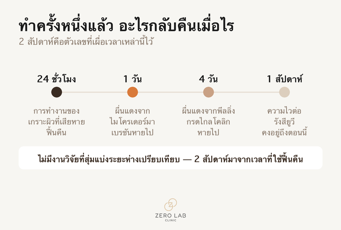 ไทม์ไลน์ที่วางการฟื้นคืนของเกราะผิว 24 ชั่วโมง การหายไปของผื่นแดง 1~4 วัน และความไวต่อรังสียูวี 1 สัปดาห์