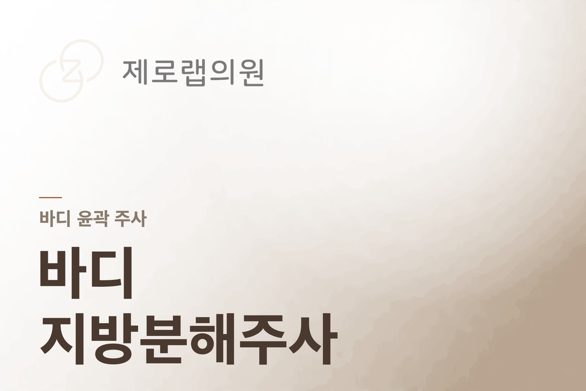 바디 지방분해 주사 