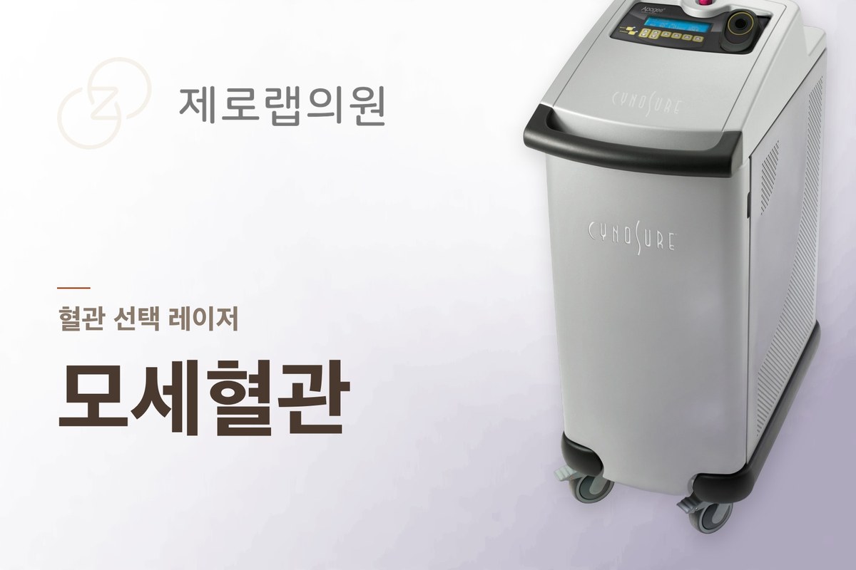 모세혈관