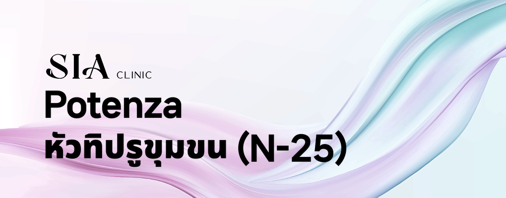 Potenza หัวทิปรูขุมขน (N-25)