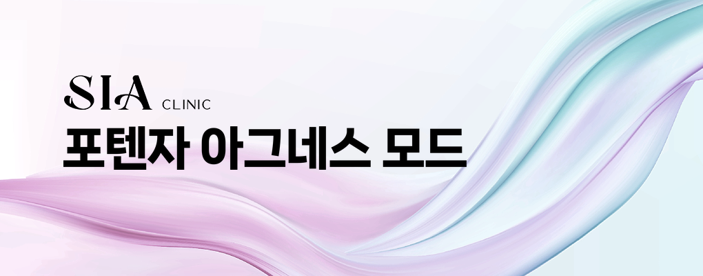 포텐자 아그네스 모드