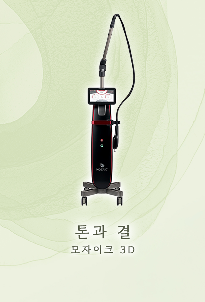 모자이크3D