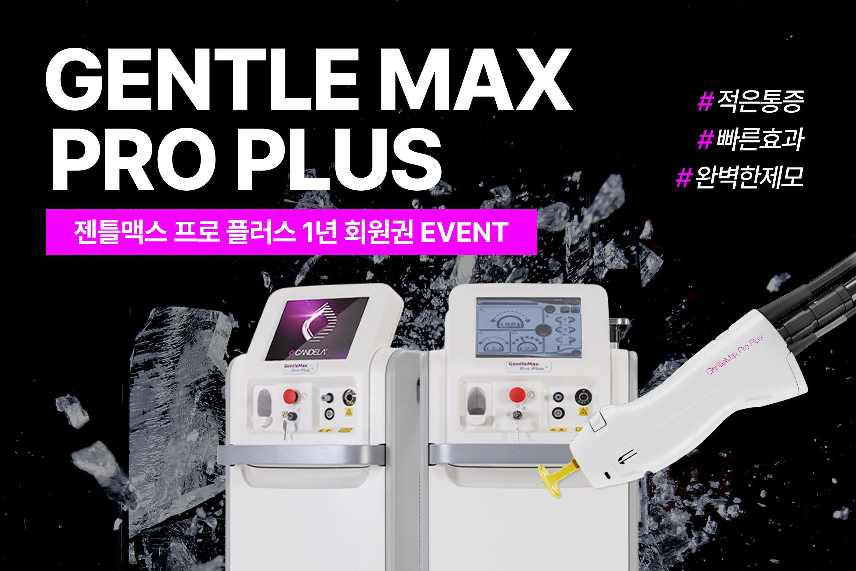 젠틀맥스 프로 플러스 1년 회원권