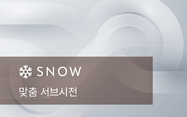 맞춤 서브시전