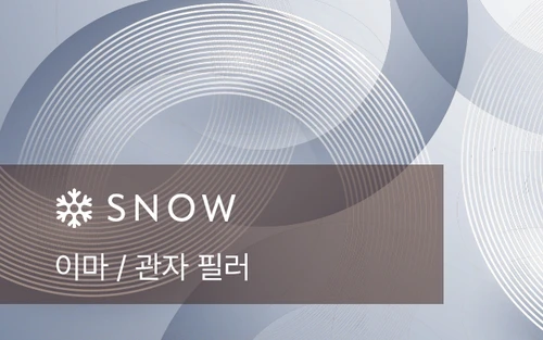 이마 / 관자 필러