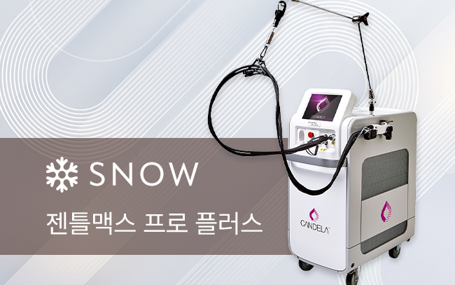 젠틀맥스 프로 플러스