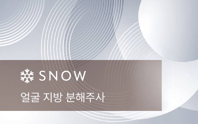 얼굴 지방 분해주사