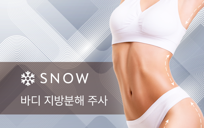 바디 지방분해 주사