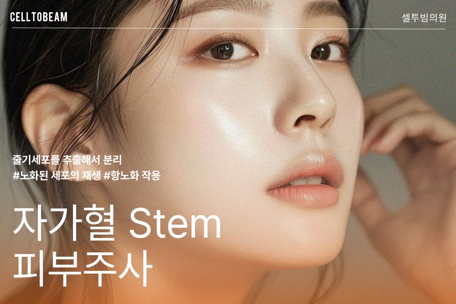 자가혈 Stem 피부주사 