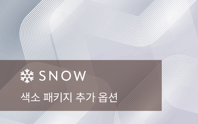 색소 패키지 추가 옵션