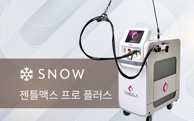 남성 젠틀맥스 프로 플러스