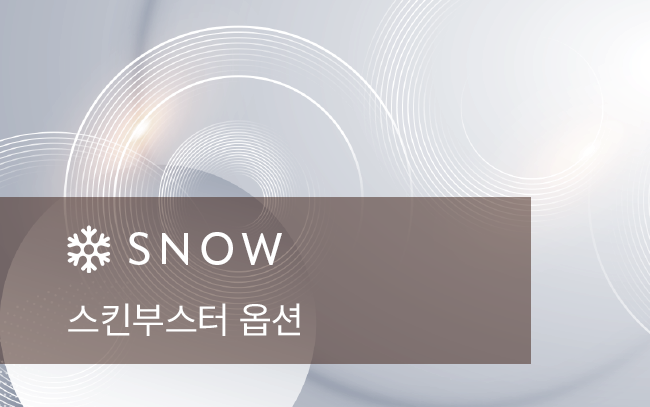 스킨부스터 추가 옵션