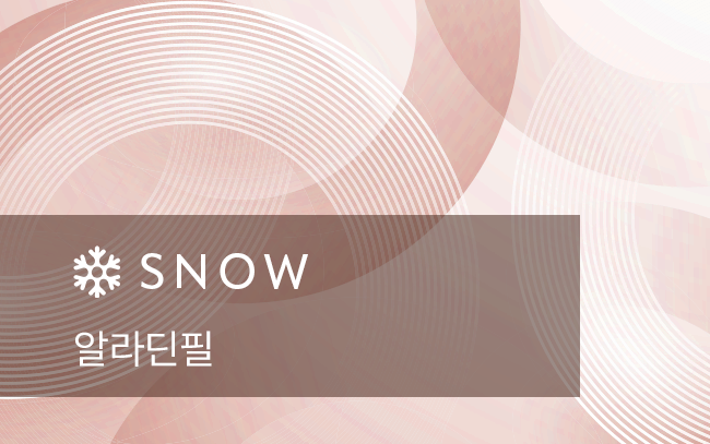 알라딘필
