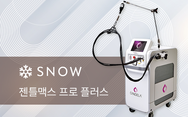 젠틀맥스 프로 플러스