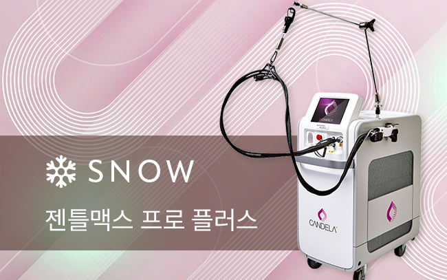 젠틀맥스 프로 플러스