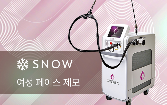 젠틀맥스 프로 플러스
