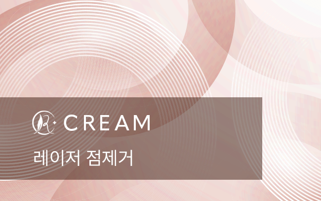 레이저 점제거