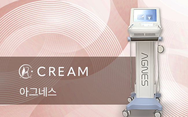 아그네스