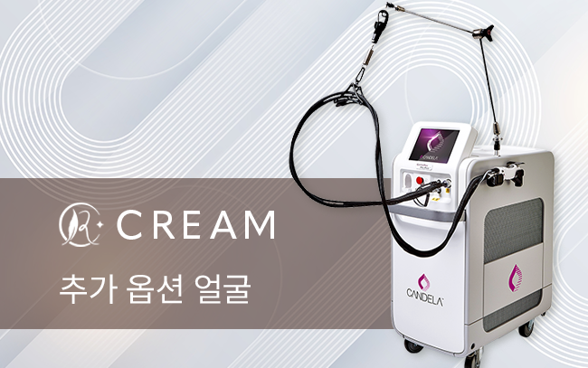 추가 옵션 얼굴