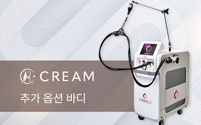 추가 옵션 바디