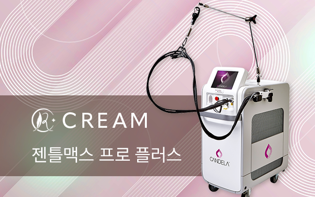젠틀맥스 프로 플러스