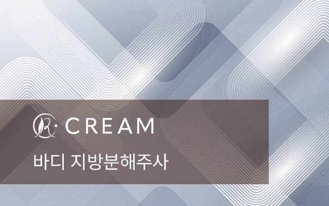 바디 지방분해주사
