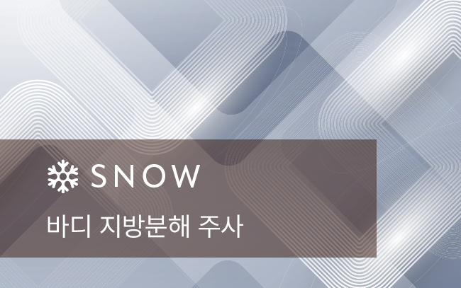 바디 지방 분해 주사