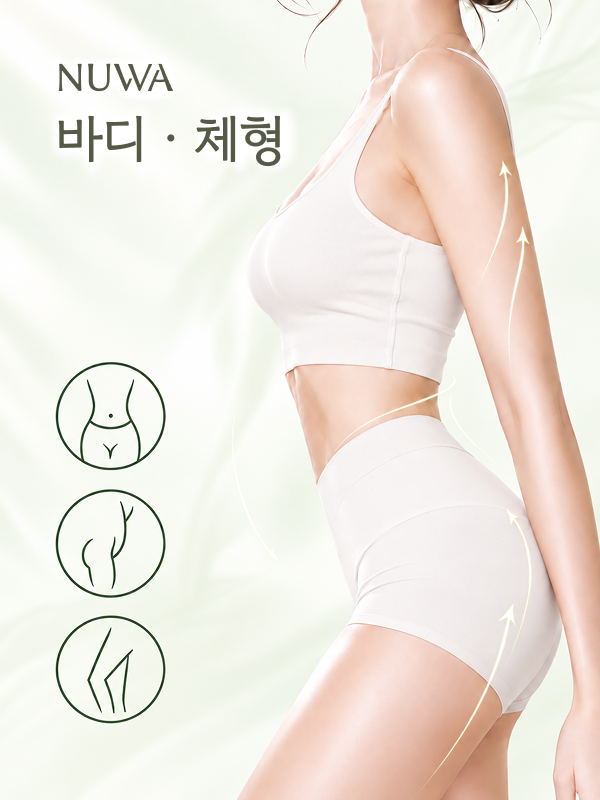 바디 · 체형