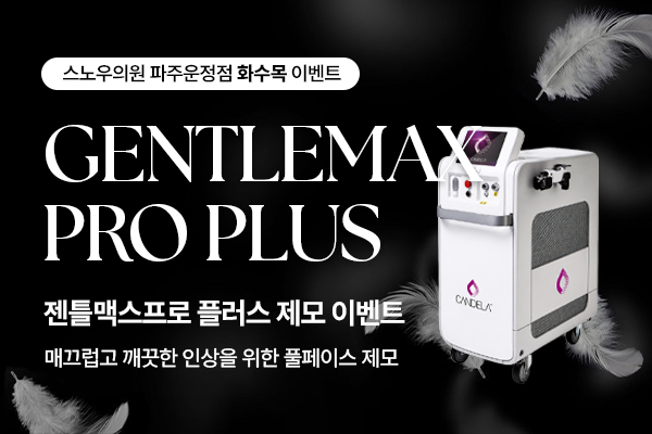 젠틀맥스 프로 플러스