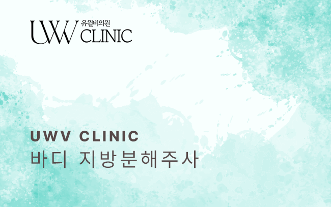 바디 지방분해주사