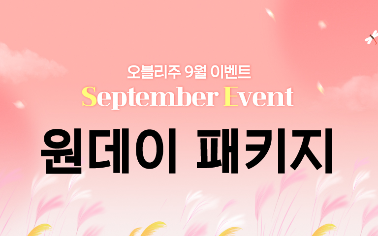 원데이패키지