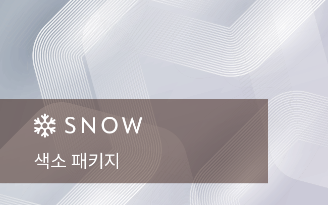 색소 패키지