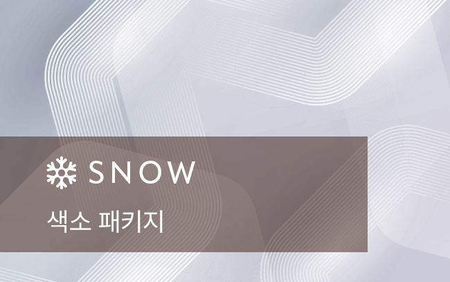색소 패키지