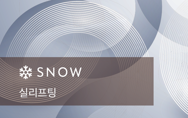 실리프팅